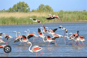 Logement atypique sur l'eau